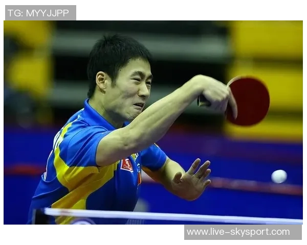 从零基础到高手之路乒乓球比赛全方位实战技巧与经验分享