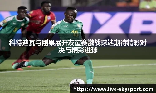科特迪瓦与刚果展开友谊赛激战球迷期待精彩对决与精彩进球